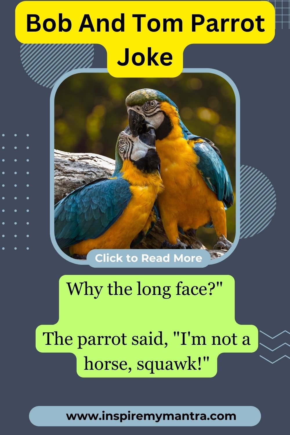 Funny Bob And Tom Parrot Jokes