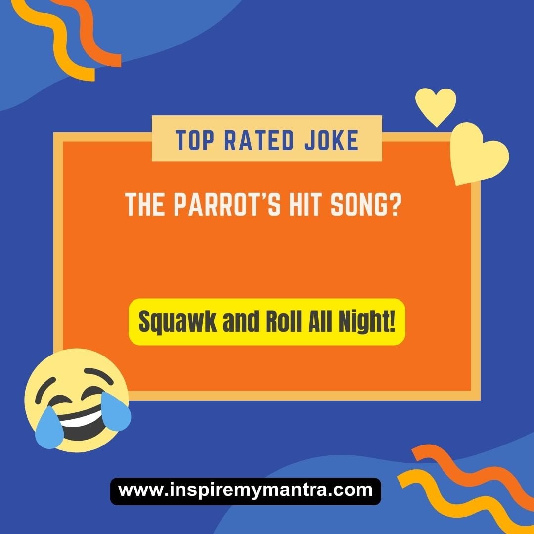 Our Favorite Bob And Tom Parrot Jokes