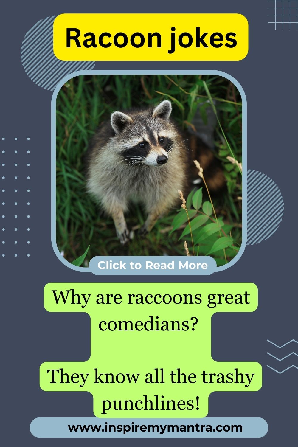 Dirty racoon jokes