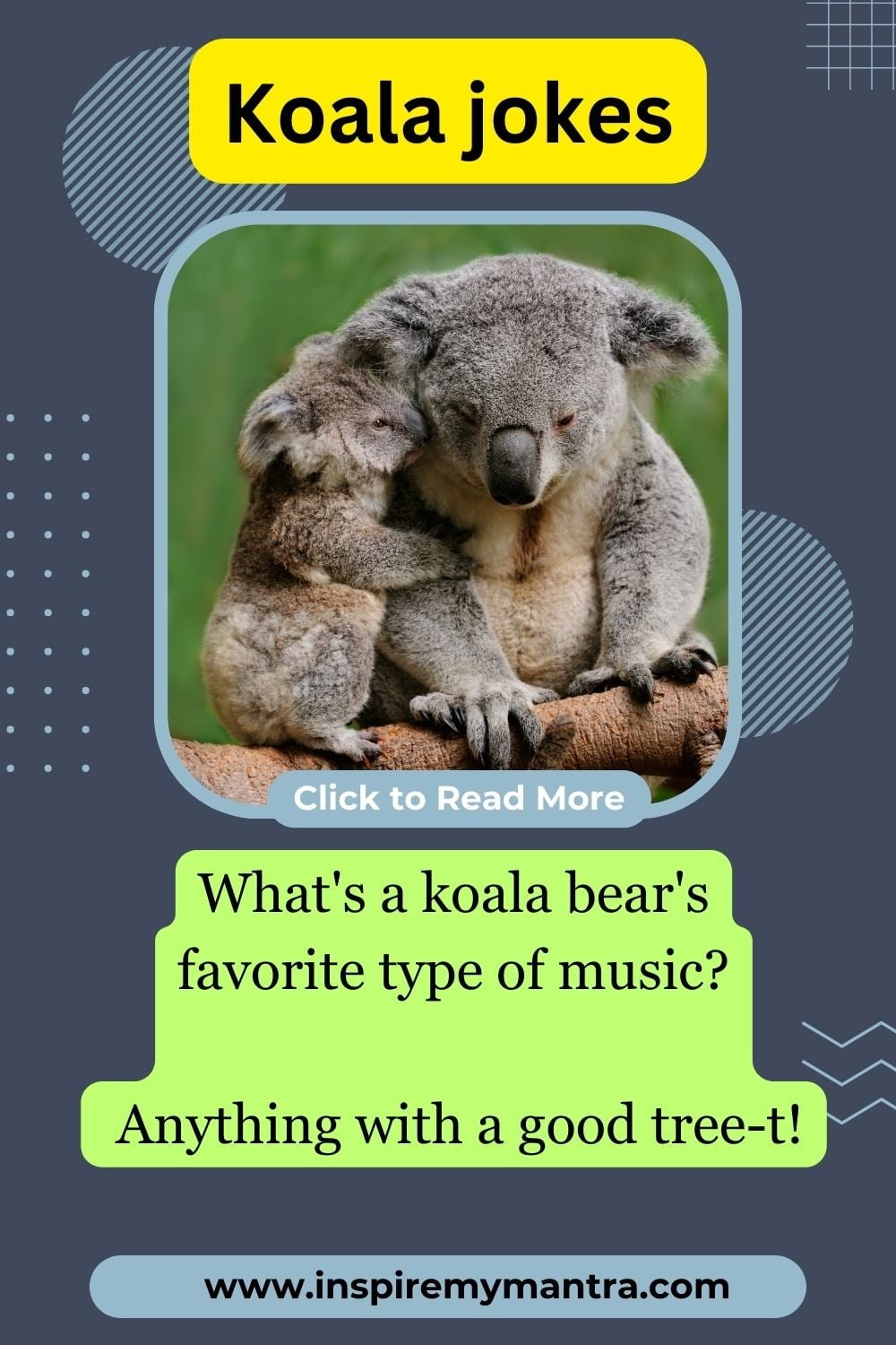 Koala Jokes One Liners