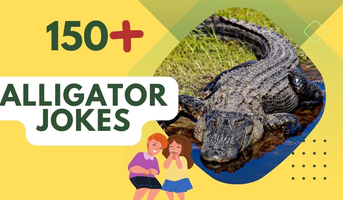 Alligator jokes