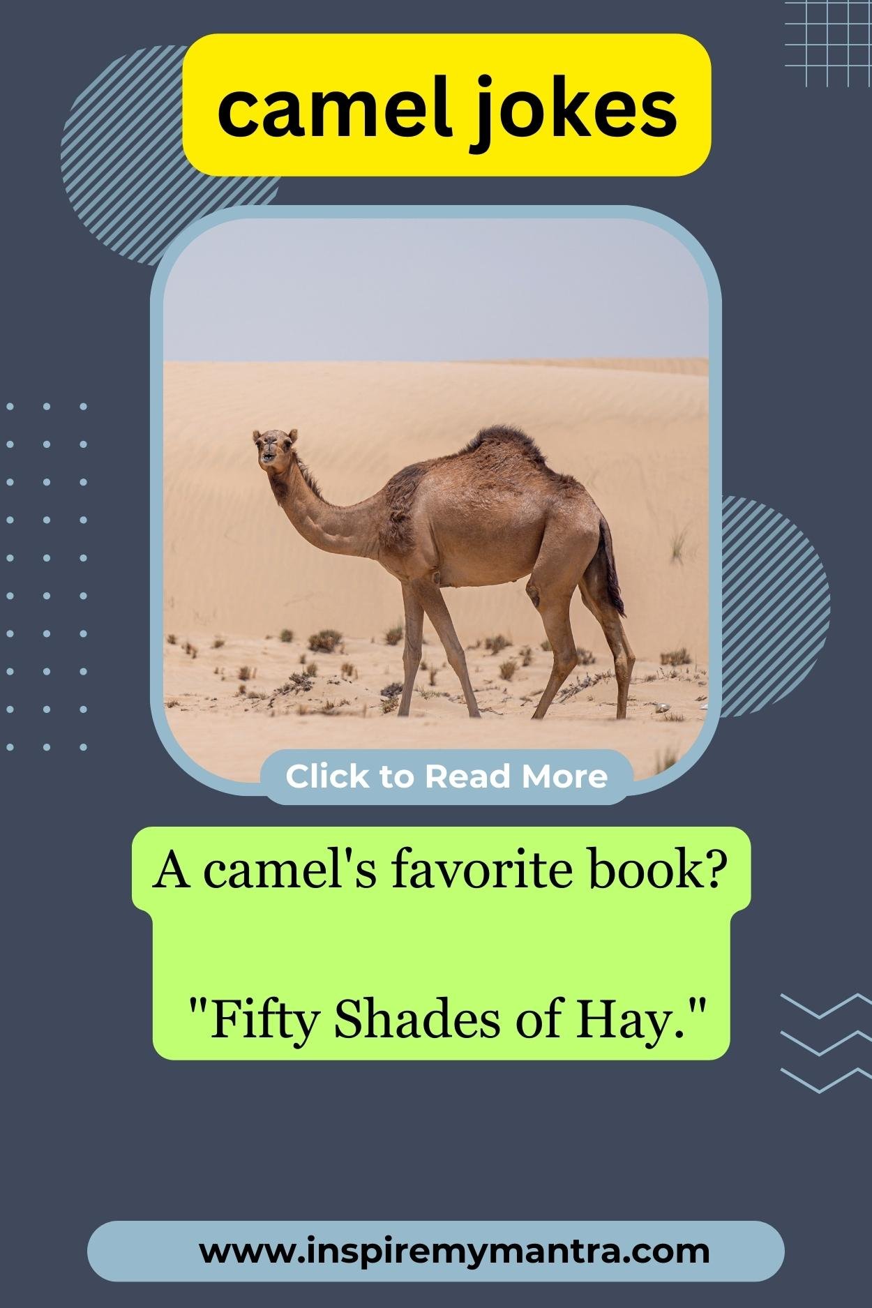 Camel jokes one liners