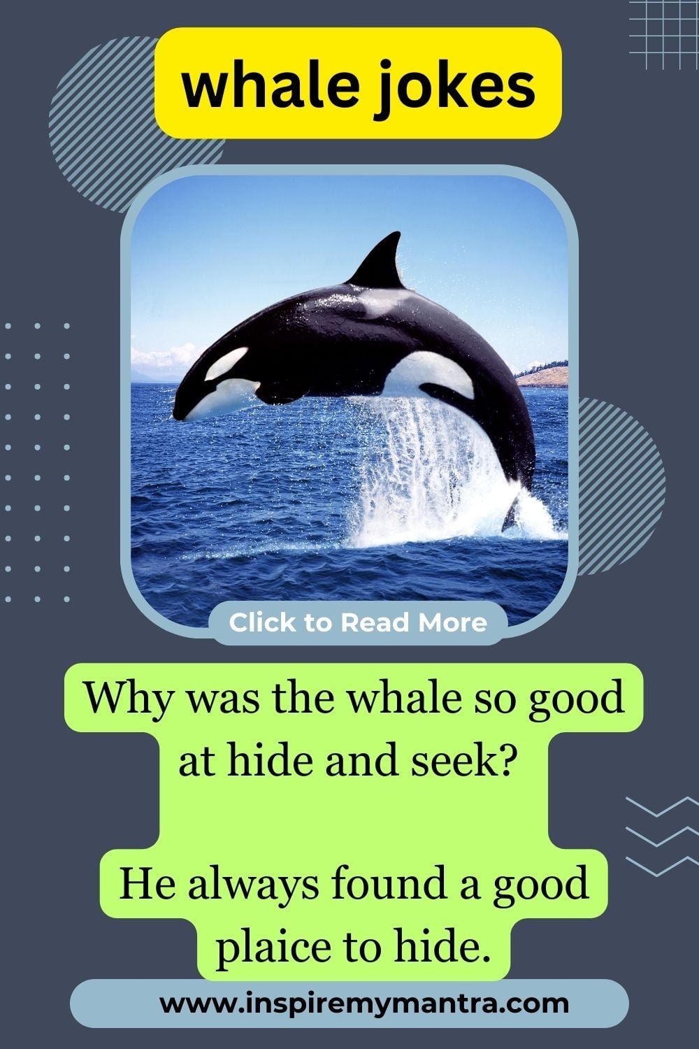 Fat Whale Jokes