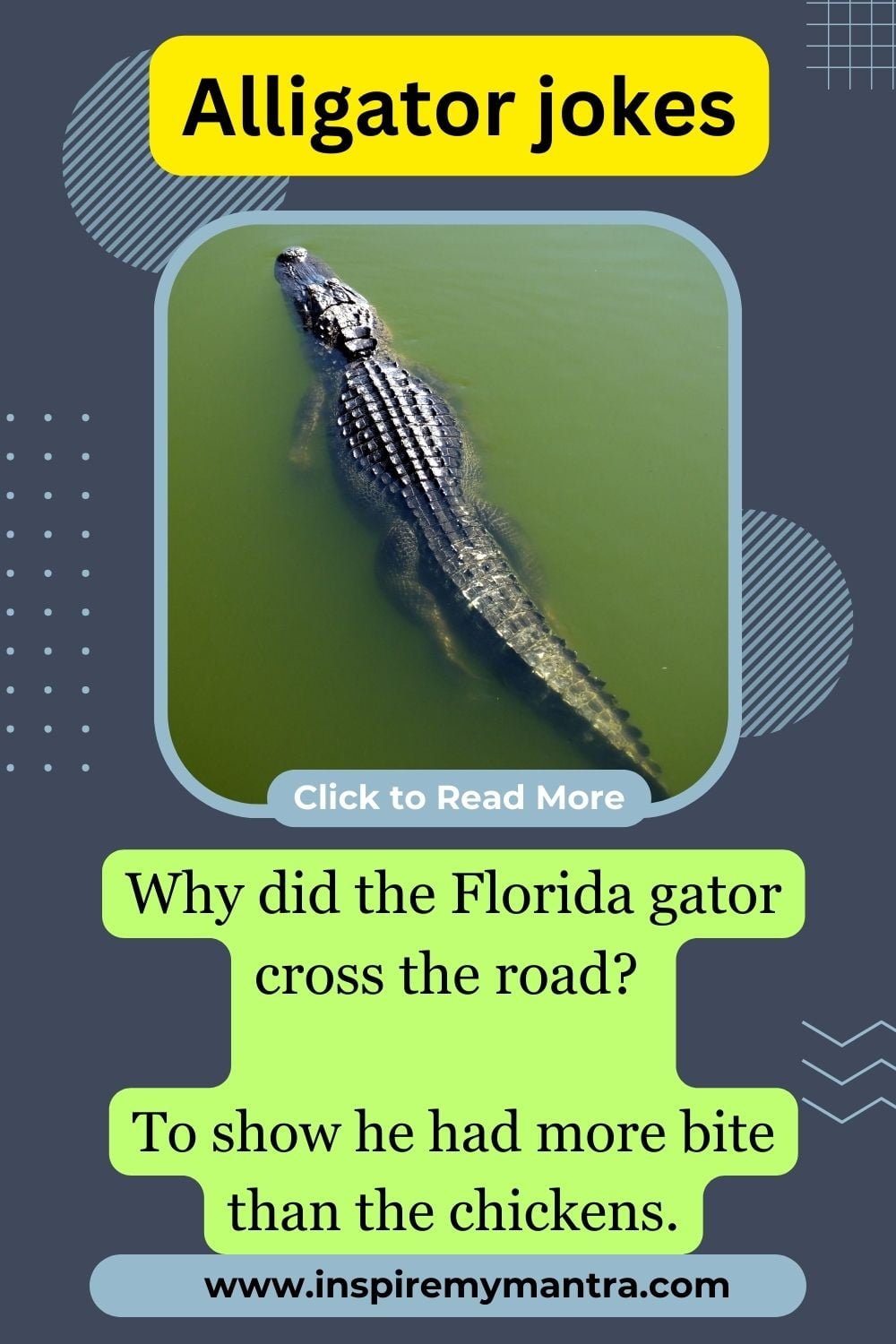 Florida Gator Jokes