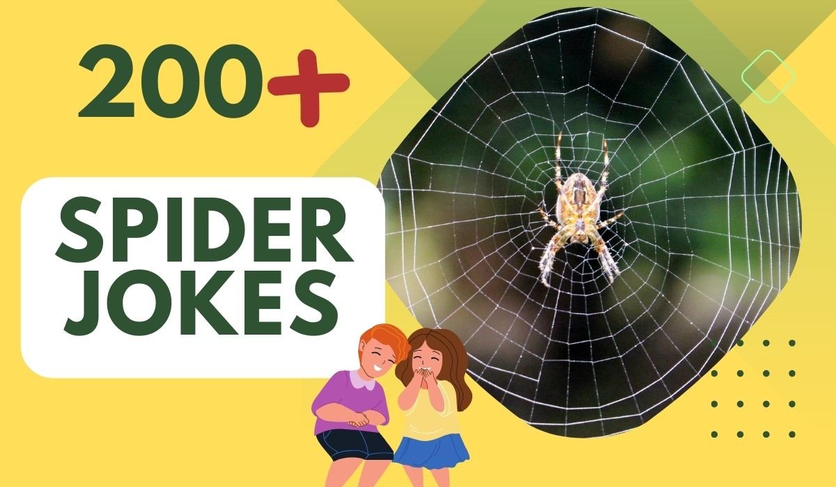 200+ Spider Jokes - Entangle in Fun and Humor