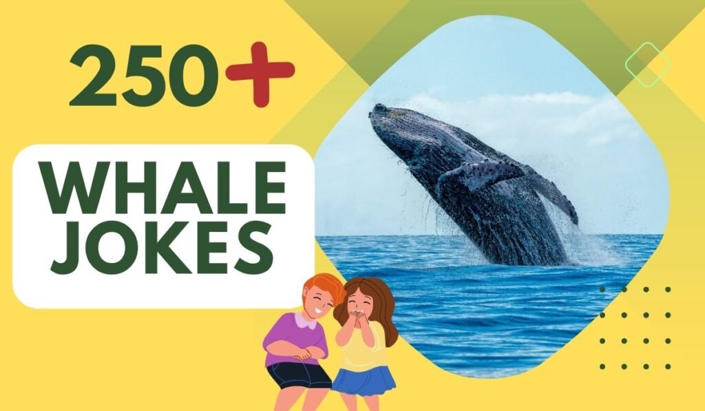 250 Whale Jokes Laughter Deep As The Ocean