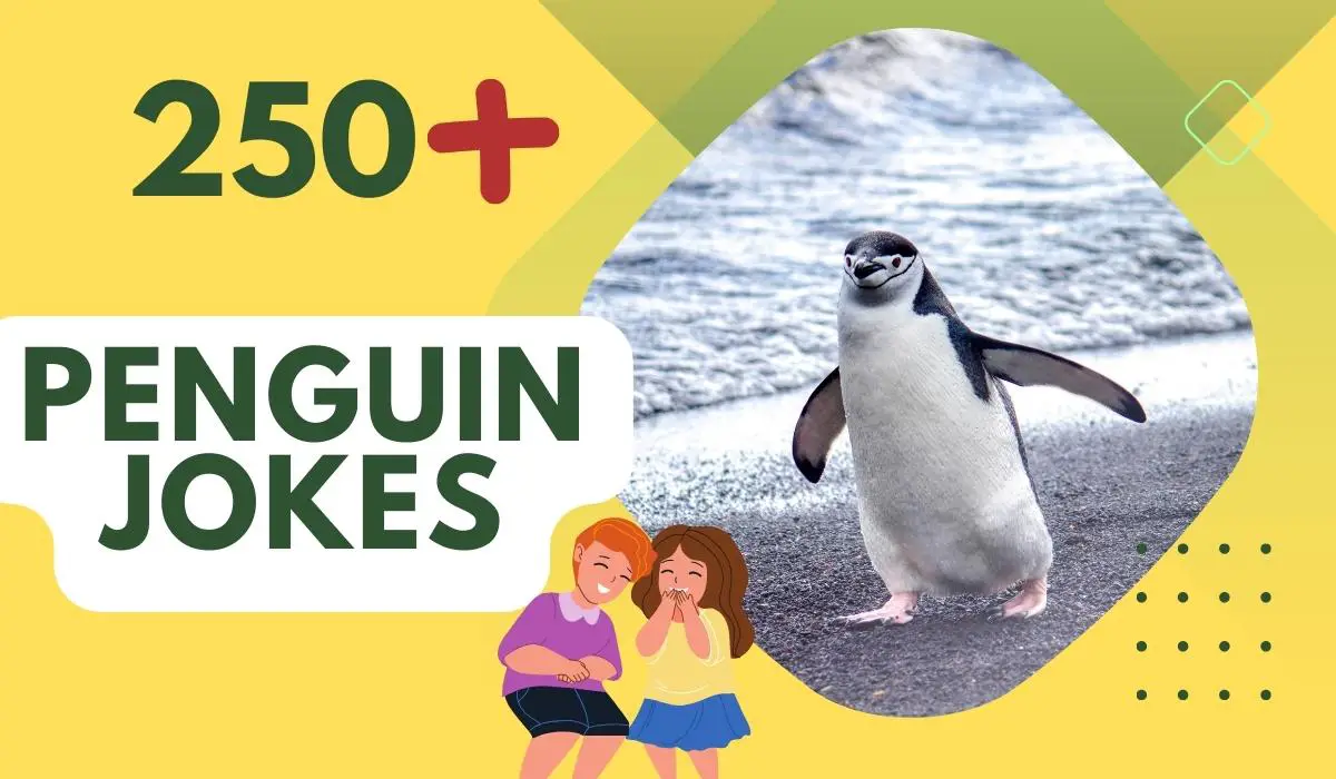 250+ Penguin Jokes - Perfect for a Quick Giggle