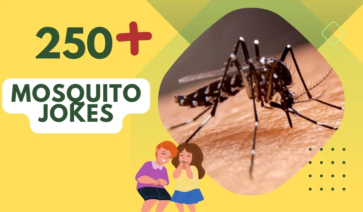 Mosquito Jokes