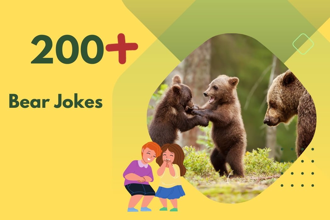 Bear Jokes