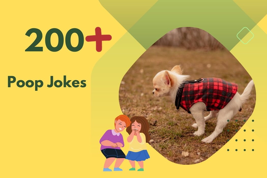 Poop Jokes