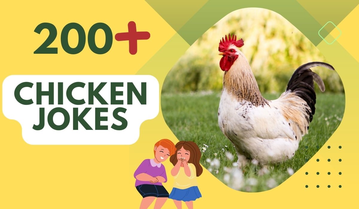 200+ Chicken Jokes - Perfect for Kids' Entertainment