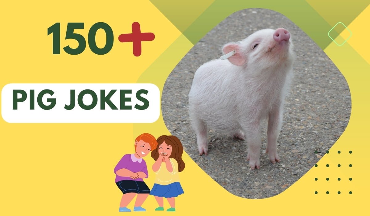 150-pig-jokes-oink-spire-your-funny-bone