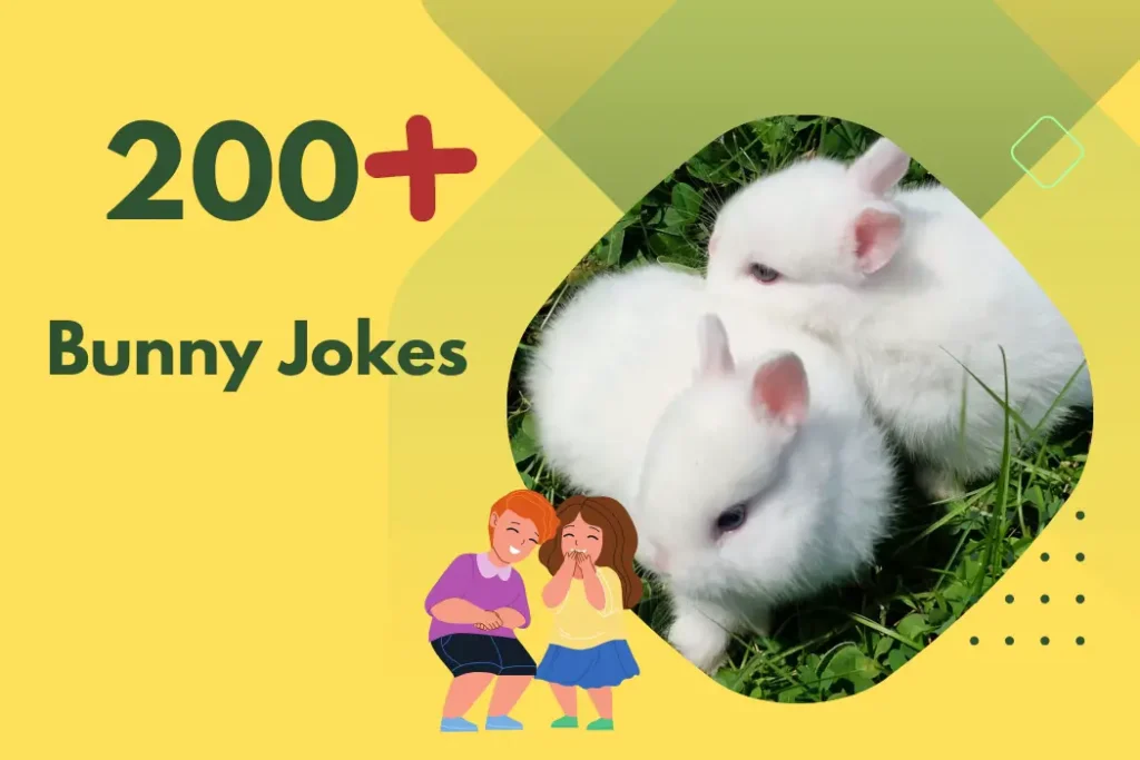 Bunny Jokes