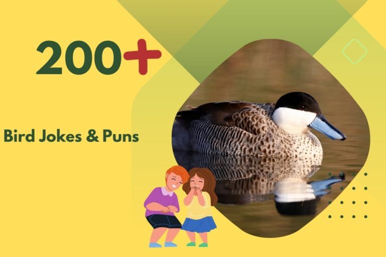 200+ Bird Jokes & Puns - Laughter Lifts Your Spirits