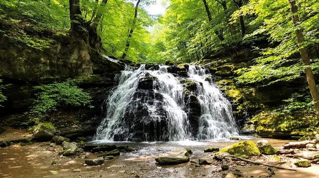 Cascade Falls Trail – Great Smoky Mountains National Park, Tennessee
