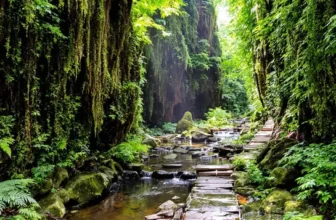 15 Easy USA National Park Trails Perfect for Beginner Hikers This Year