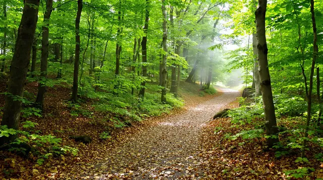 Appalachian Trail, Maine to Georgia