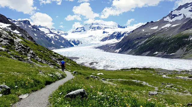 Harding Icefield Trail, Kenai Fjords National Park, Alaska