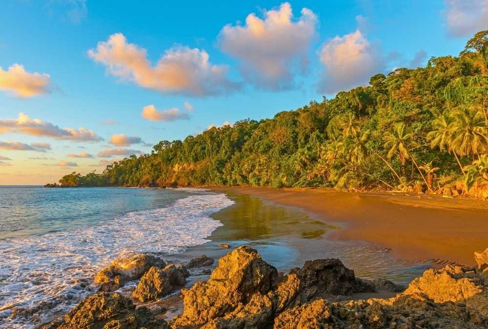 Corcovado National Park Trek, Costa Rica