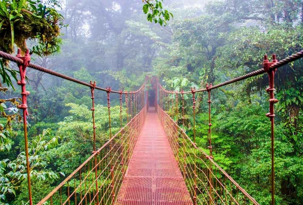 Monteverde Cloud Forest Reserve Trek, Costa Rica