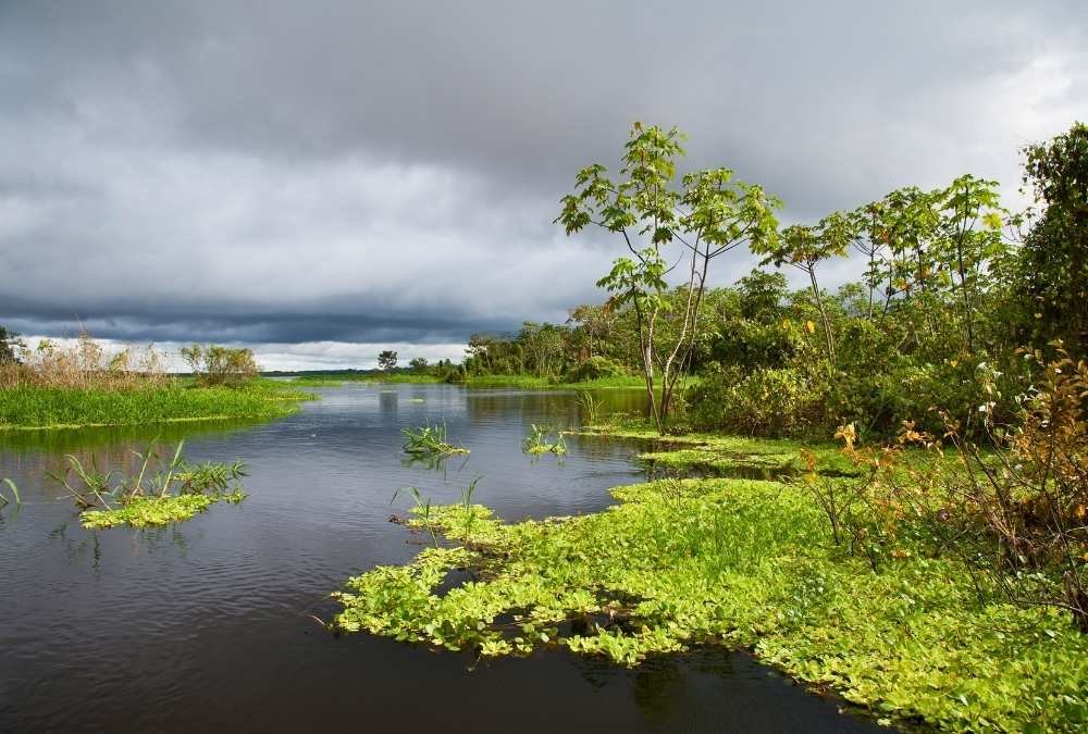 Pacaya-Samiria National Reserve Trek, Nicaragua (bordering Honduras)
