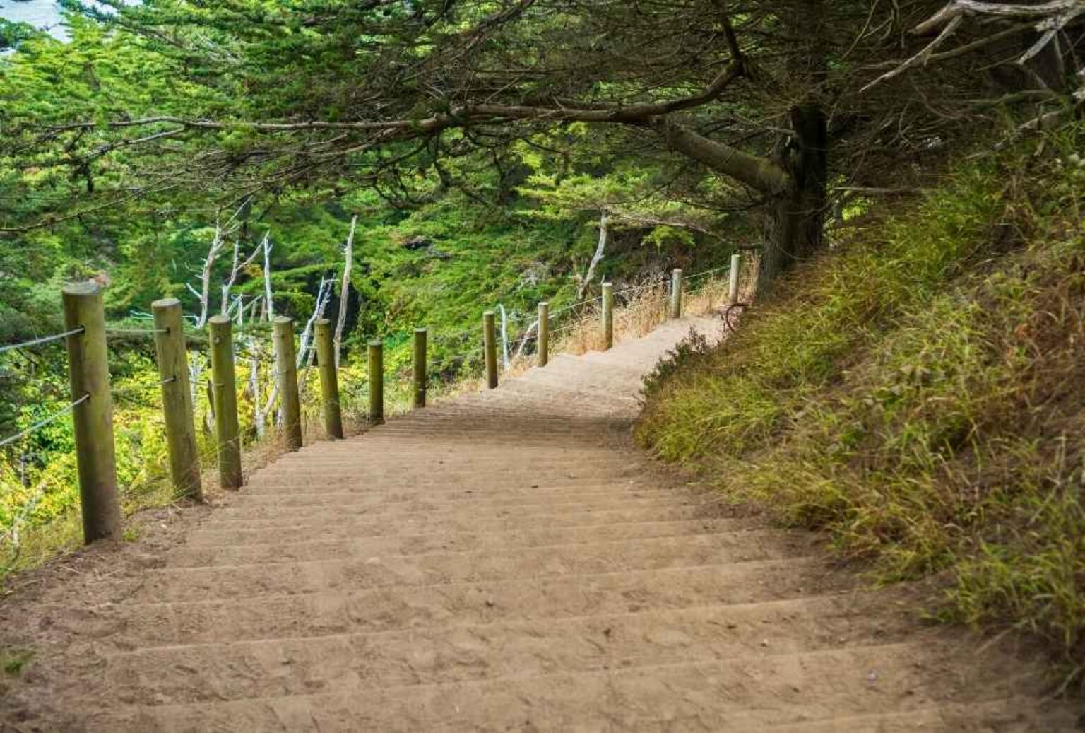 15 Urban Hiking Trails Go Visit