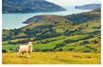 10 Countries Easing Visa Rules in 2025: Move Now, Thank Yourself Later – Unlock Hidden Paradise & Skip the Hassle!