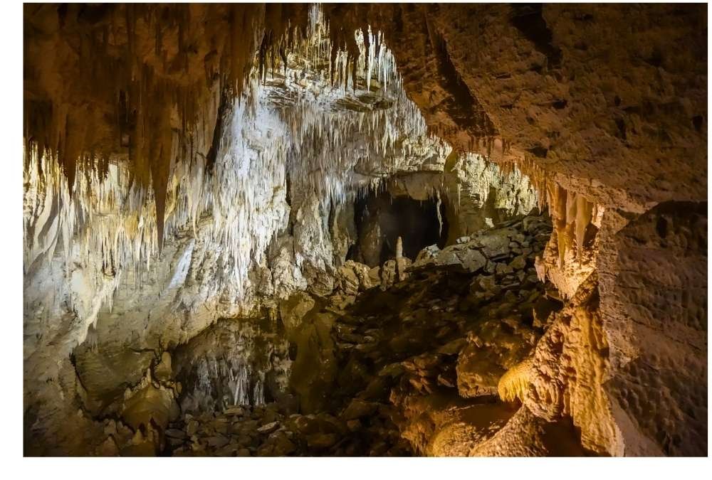 Waitomo Caves (New Zealand)