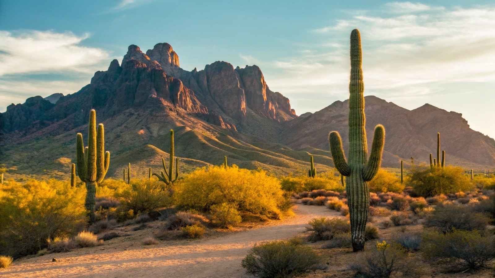Organ Pipe Cactus National Monument, Arizona