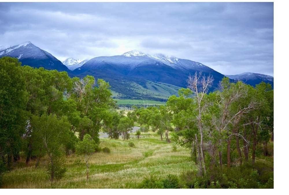 Livingston, Montana