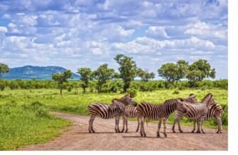 12 International National Parks Cheaper Than a U.S. Vacation – Nature Without the Price Tag! Worth Visiting