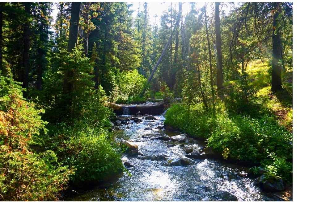 Island Park, Idaho