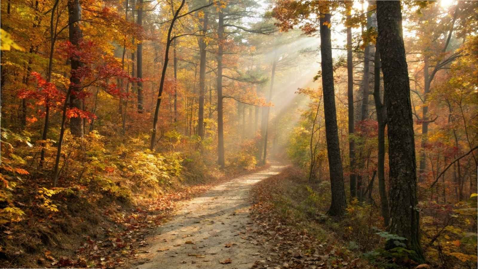 Fayetteville, Arkansas – Ozark Highlands Trail