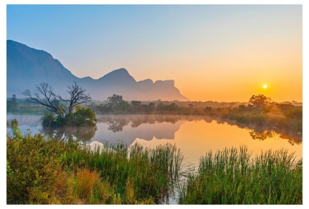 Madikwe Game Reserve, South Africa