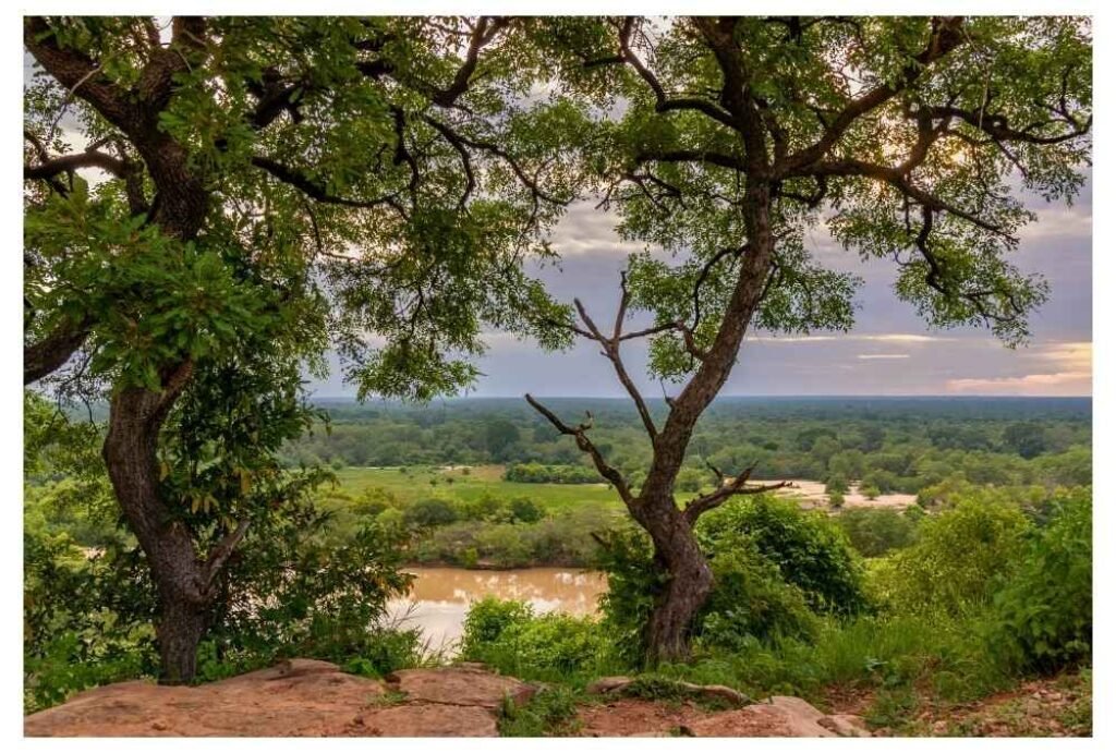 Mole National Park, Ghana