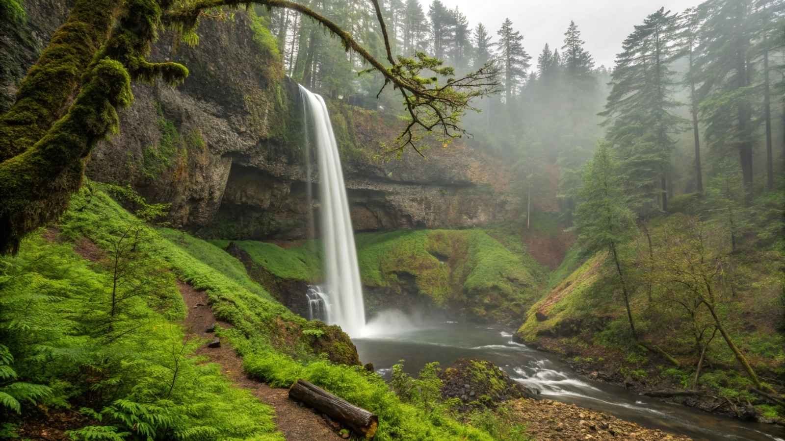 Silver Falls State Park, Oregon
