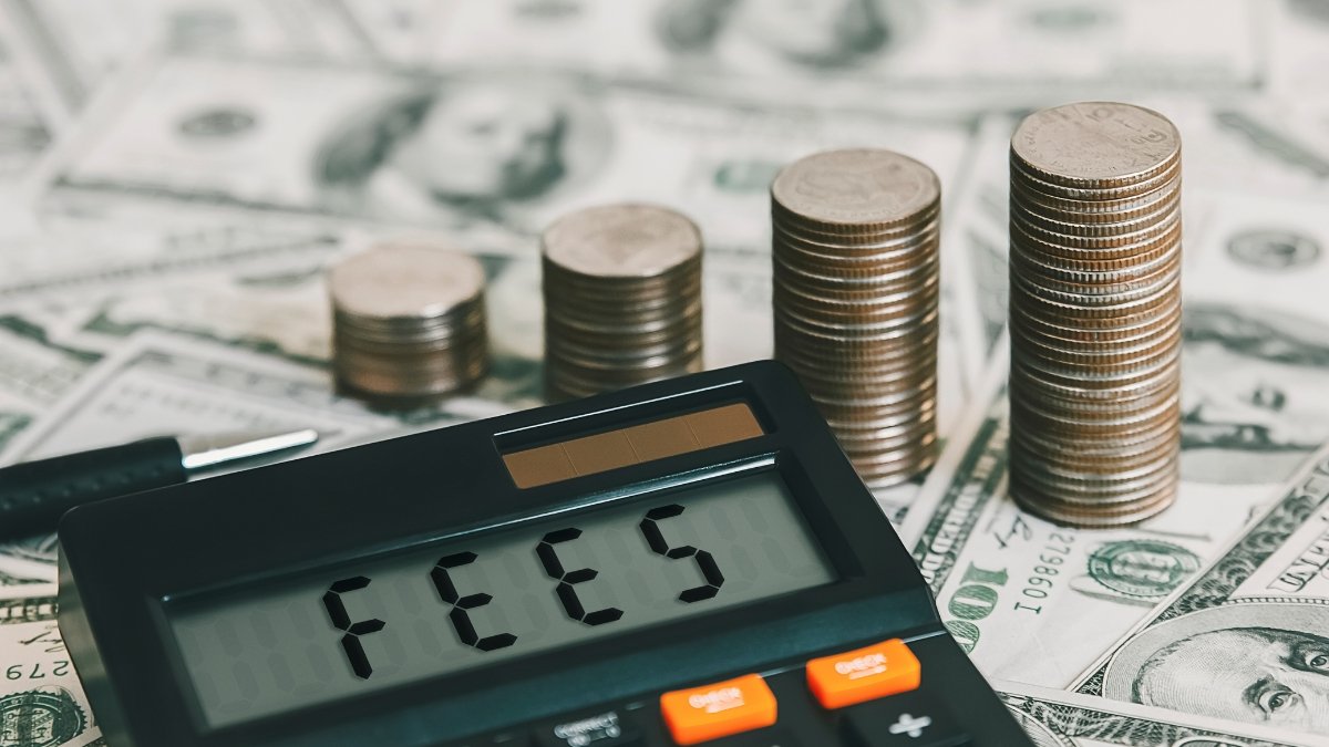 The Small vs. Big Company Fee Disaster