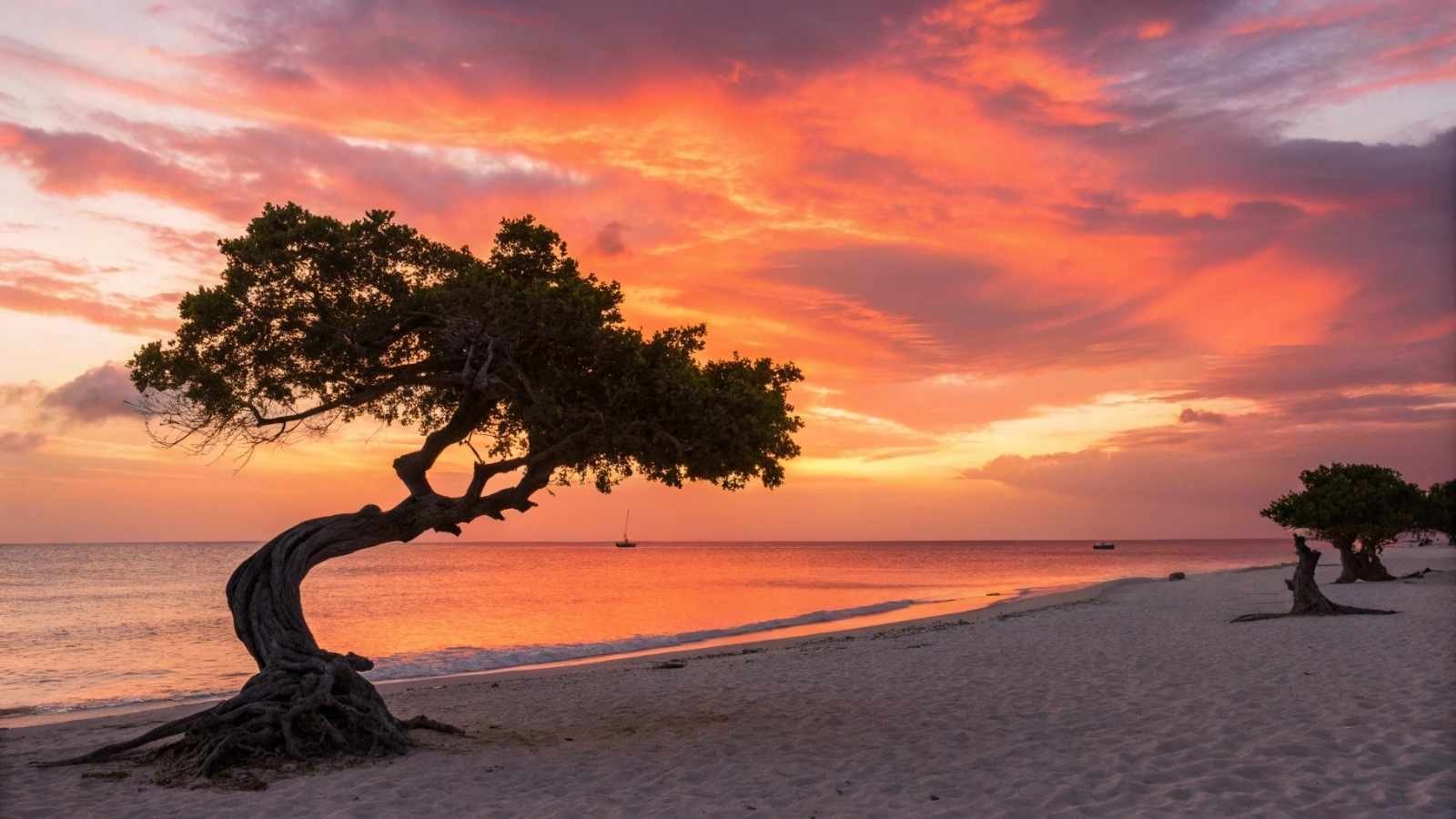 Aruba