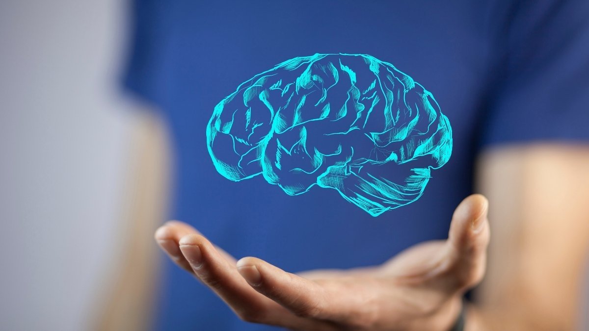 Your Brain's Hidden Orchestra