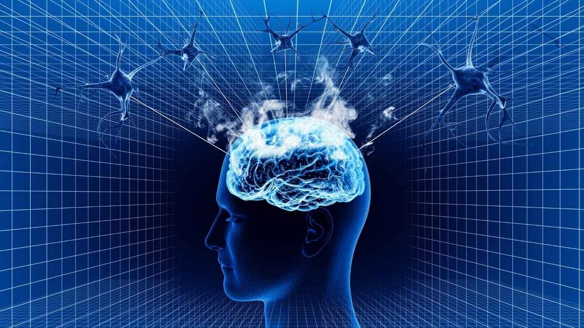 Meet Your Brain's Secret Orchestra