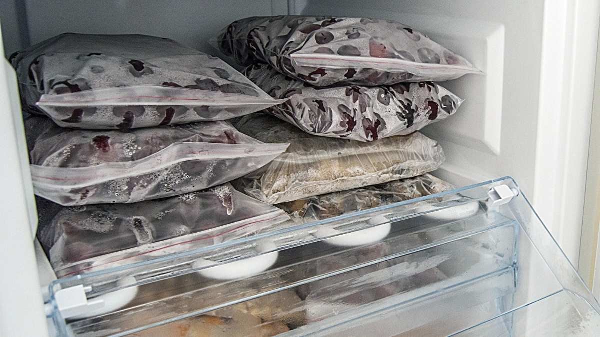 Freezing kills bacteria