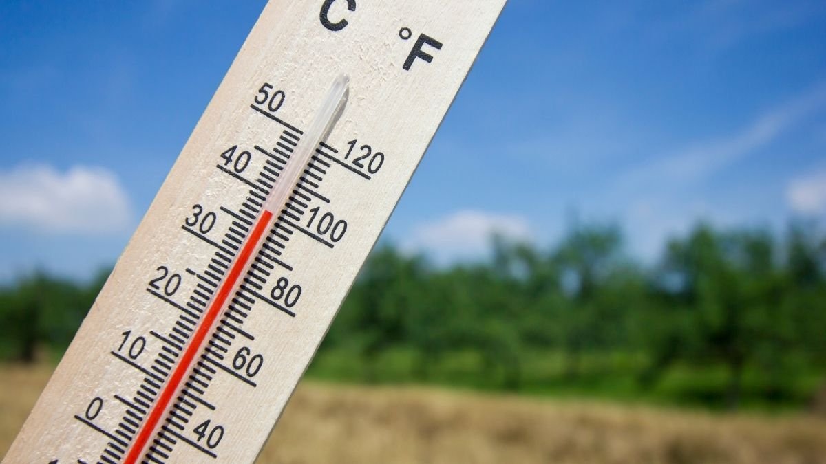 If You're in Hot, Dry Climates (Looking at You, Arizona)