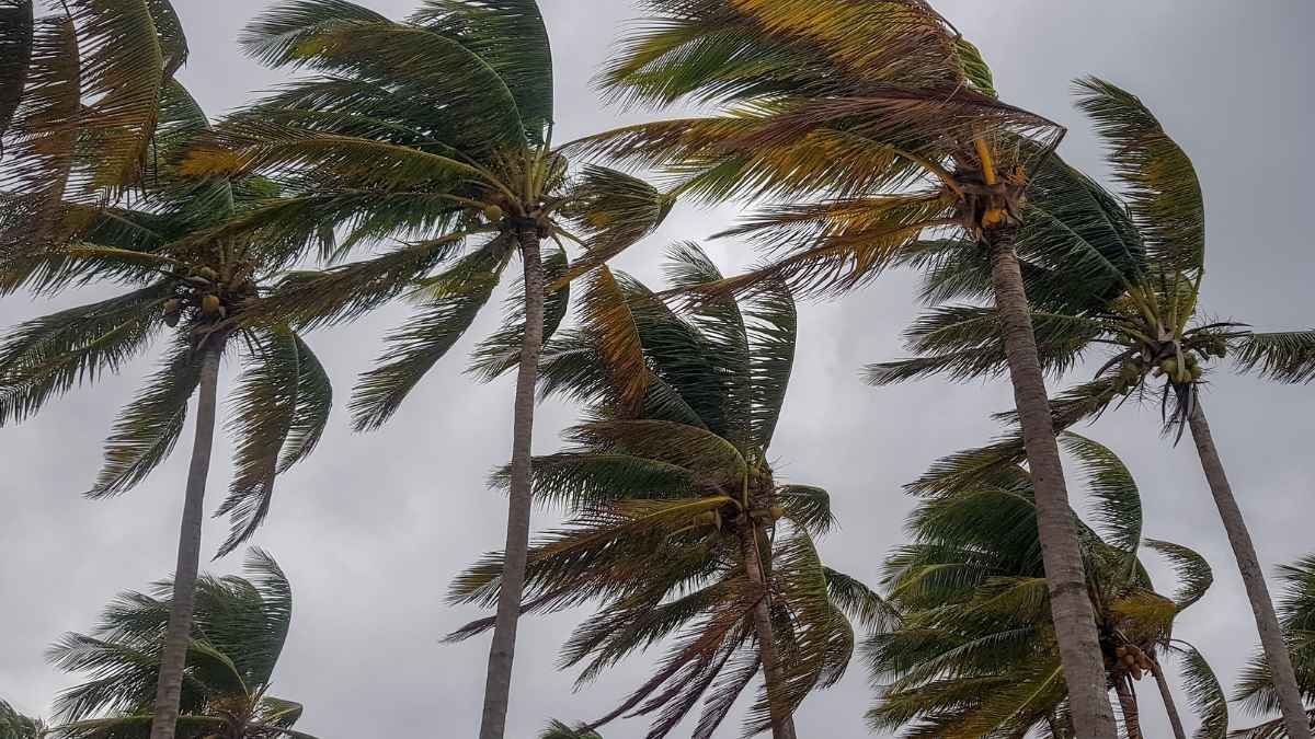The South: Hurricane Season Complications