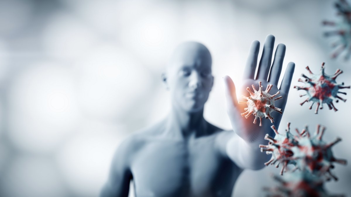 Your Immune System Has a Memory (And It's Getting Smarter)