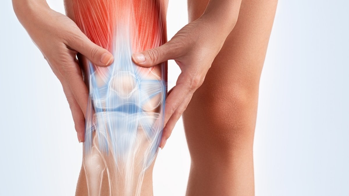 What Happens Inside Your Knee