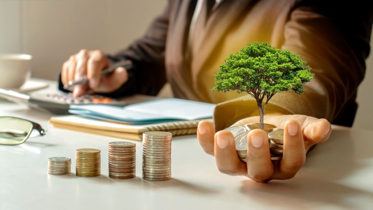 The Investment Timing Game