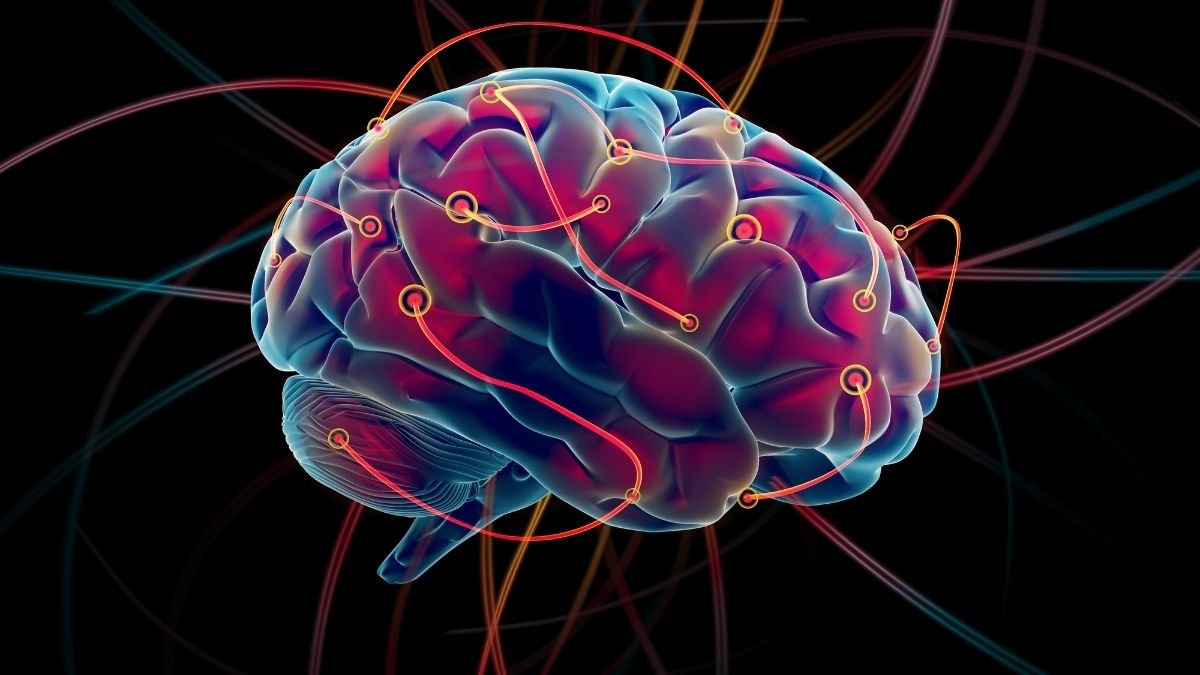 The Power Players: Meet Your Brain Waves