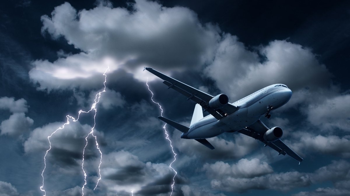 Real stories that'll make you buckle up