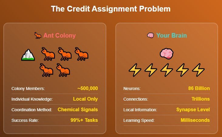 The Ant Colony in Your Head