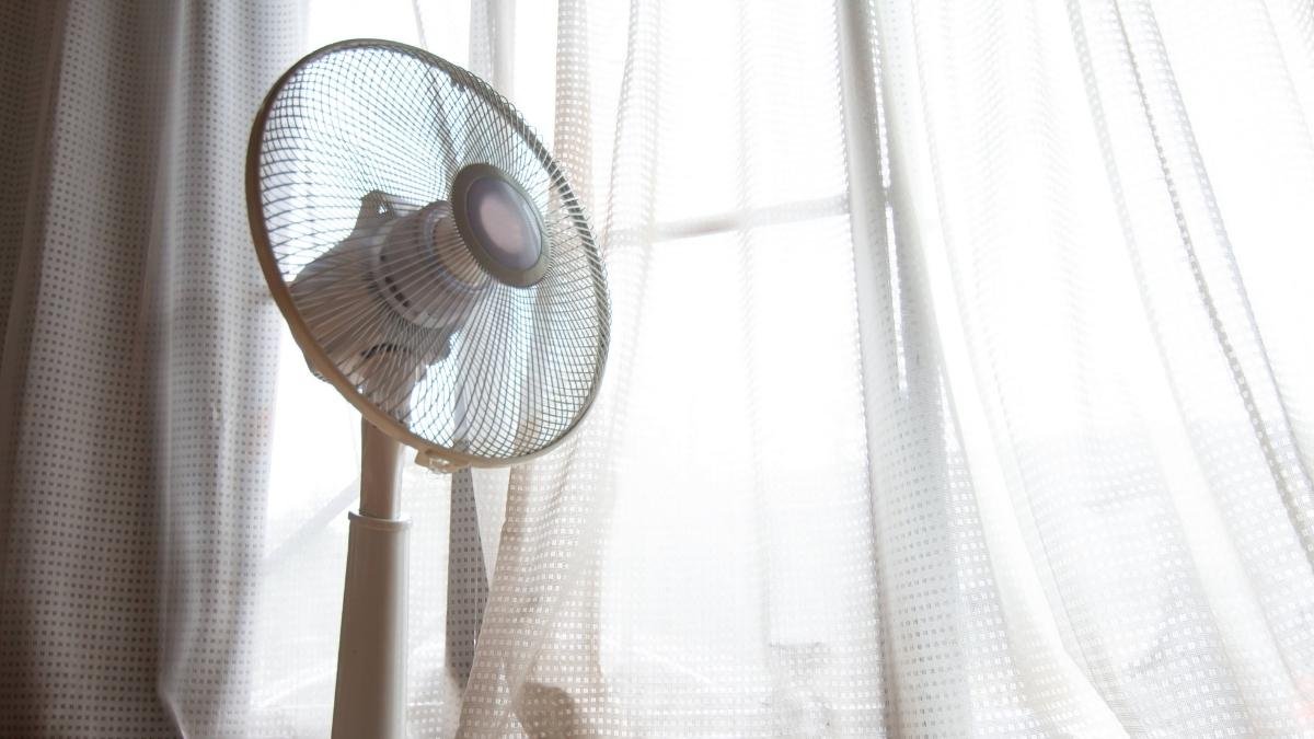 The Fan That Never Sleeps
